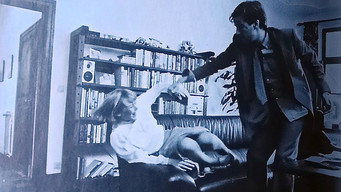 The Aardwolf (1985)