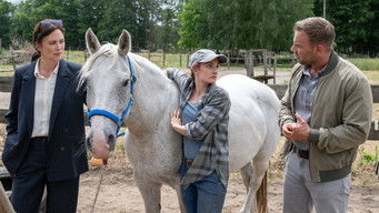 Episode 15 — Episode 15