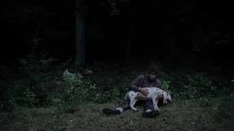 Galeria 3 - Koko-di Koko-da