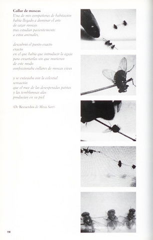 Collar de moscas (2002)