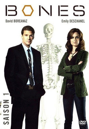 Bones - S1 - Épisode 17 : Face au désert - Affiche