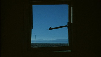 Galeria 2 - Willow Springs