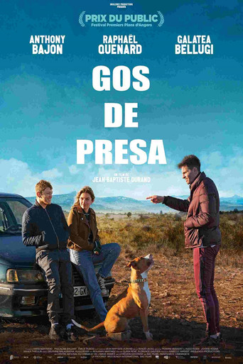Cartell de Gos de presa