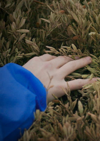 Without Bounds to Beat (2019)