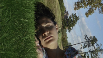 Escena 3 de Willow World