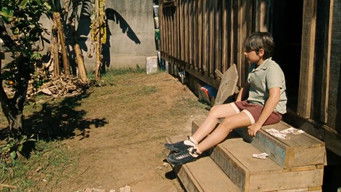 Cena de Meninos de Kichute