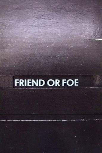 Friend or Foe poster
