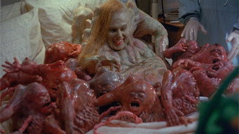 #6 Basket Case 3