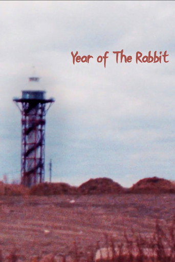 Year Of The Rabbit