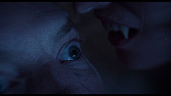 #20 Dracula: The Night Around Us