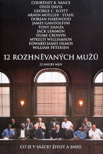12 rozhněvan&yacute;ch mužů