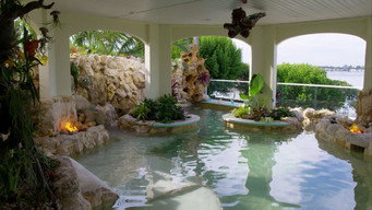Living Under the Sea