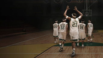 Galeria 1 - Estrellas Fugaces