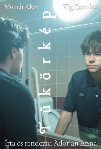 Reflection (2026)