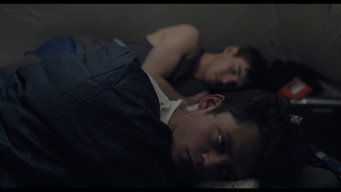 Sog (2019)