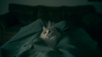 #60 Доктор Сон