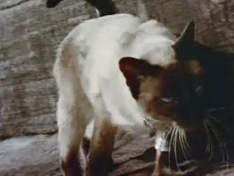 第3話：The Prince of Siam