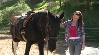 #1 A Talking Pony!?!