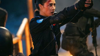 Galeria 3 - Formed Police Unit