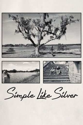 Simple Like Silver (2021)