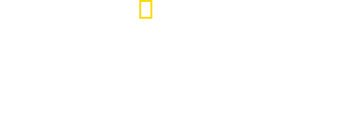 American Blackout logo