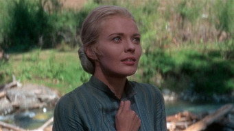 #7 Paint Your Wagon