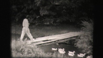Beekeeper (1991)