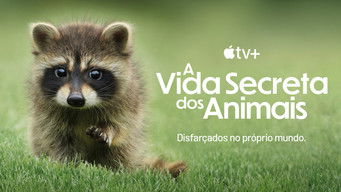 Cena de A Vida Secreta dos Animais