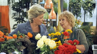 Rote Rosen T9E198