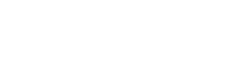 The Next 365 Days logo