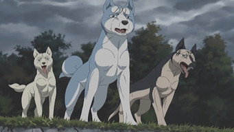 Silver Fang Legend Weed (2005-2006)