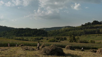 #14 Hymn from the Hive
