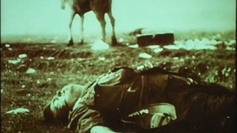 #5 Довженко. Щоденник. 1941-1945 роки
