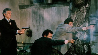 The Don Is Dead (1973)