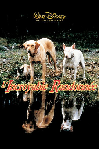 L'incroyable randonnée