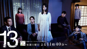 13 media image