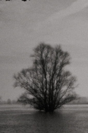 Landscape as Landscape 2