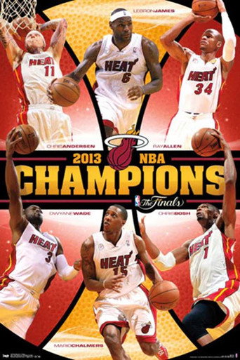 The 2013 NBA Finals