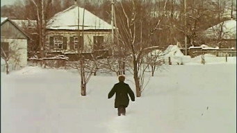 Душа милосердна (1987)