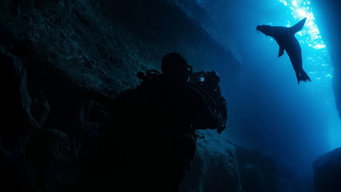 Still 3 from Guardians of the Galapagos