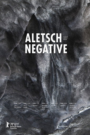 Aletsch Negative (2019)