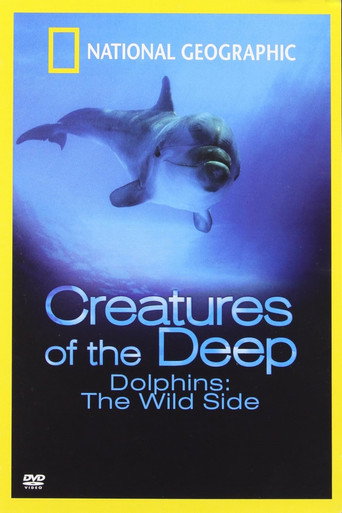 Dolphins: The Wild Side galeri 3