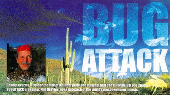 Still 1 from Bug Attack