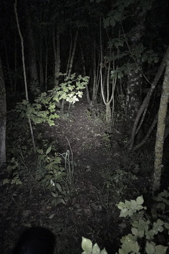 Cartell de Untitled Found Footage Project