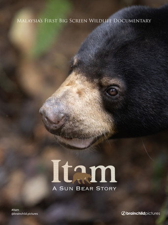 Póster de Itam: A Sun Bear Story