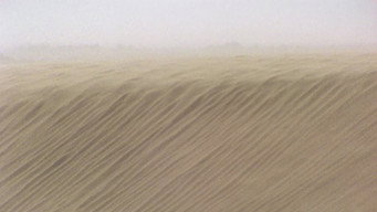 Evil spirits of the desert