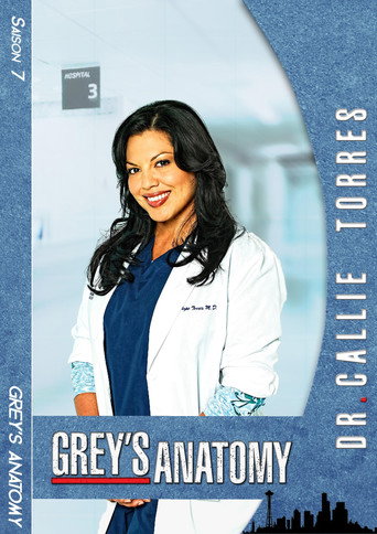 Grey's Anatomy - S7 - Poster