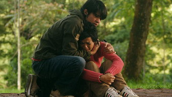 Heart media image