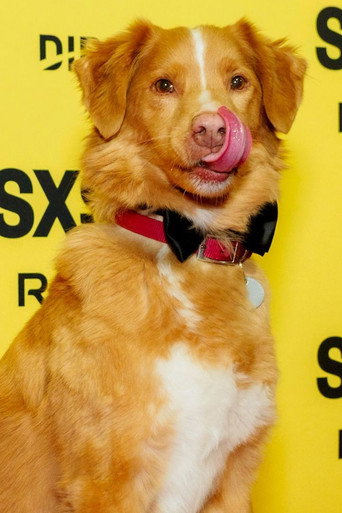 Indy fotoğraf 4