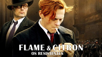 Cena 8 de Flame & Citron - Os Resistentes